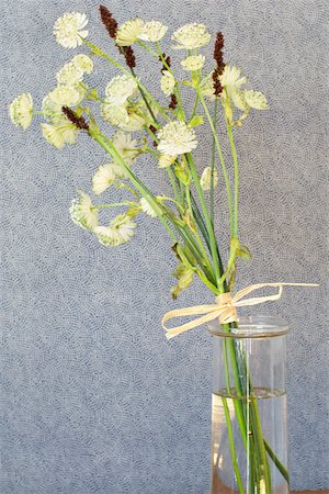 simsearch:628-01278649,k - Twig of flowers in a vase Stock Photo - Premium Royalty-Free, Code: 628-01278315