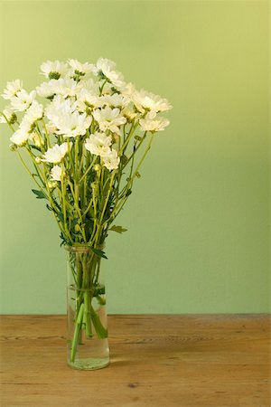 simsearch:628-01278403,k - White chrysanthemums Fotografie stock - Premium Royalty-Free, Codice: 628-01278429