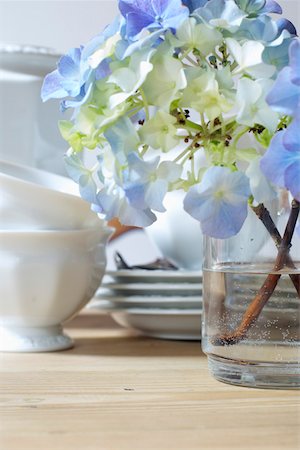 simsearch:622-06191141,k - Twig of hydrangea in a vase Foto de stock - Sin royalties Premium, Código: 628-01278470