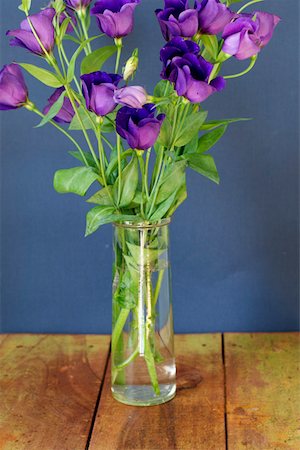 Violet flowers in a vase Stock Photo - Premium Royalty-Free, Code: 628-01278649