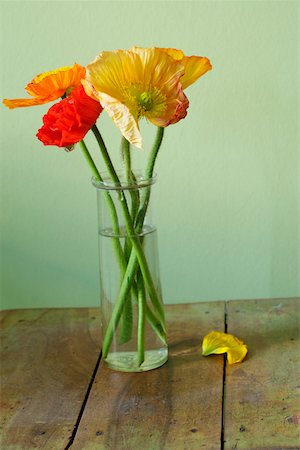 simsearch:628-01278649,k - Poppies in a vase Stock Photo - Premium Royalty-Free, Code: 628-01278746