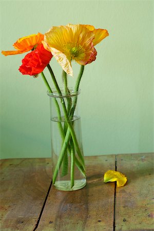 poppi castle - Poppies in a vase Foto de stock - Sin royalties Premium, Código: 628-01278746