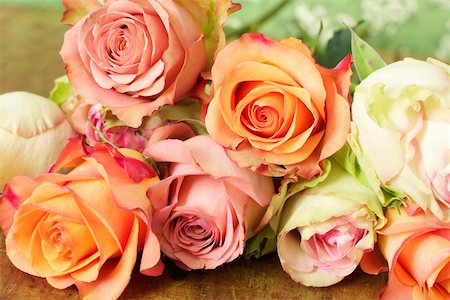 Bunch of roses Stock Photo - Premium Royalty-Free, Code: 628-01278902