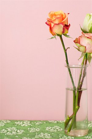 simsearch:640-01364617,k - Roses in a vase Foto de stock - Sin royalties Premium, Código: 628-01279091