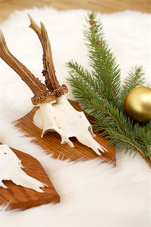 Cornes sur tapis de fourrure, branche de sapin et sapin de Noël boule Photographie de stock - Premium Libres de Droits, Code: 628-01279298
