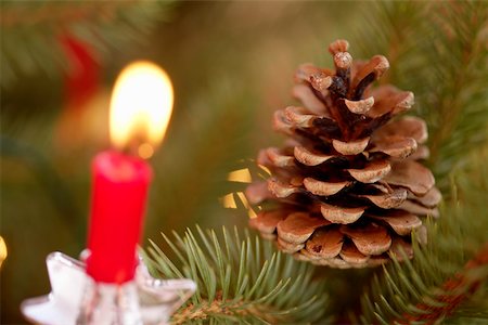 Burning candle and pine cones on Christmas tree Stock Photo - Premium Royalty-Free, Code: 628-01279348