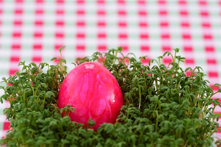 simsearch:628-01494911,k - Colored Easter egg lying on cress close-up, high angle view Foto de stock - Sin royalties Premium, Código: 628-01494940