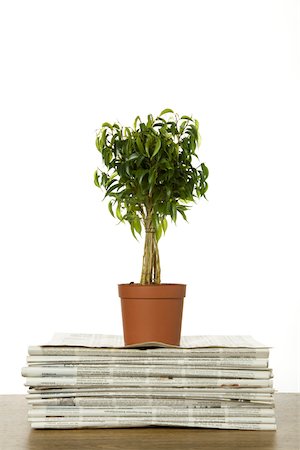 environmental conservation still life - Potted plant on stack of newspapers, Germany Stock Photo - Premium Royalty-Free, Code: 628-02953704