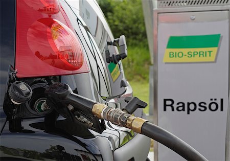 pumping canola oil - Car is being filled with rape oil Stock Photo - Premium Royalty-Free, Code: 628-02953939