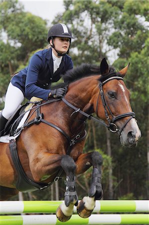 sport woman with helmet - Young Female Horse-Rider Jumping Hurdle Stock Photo - Premium Royalty-Free, Code: 622-05786731