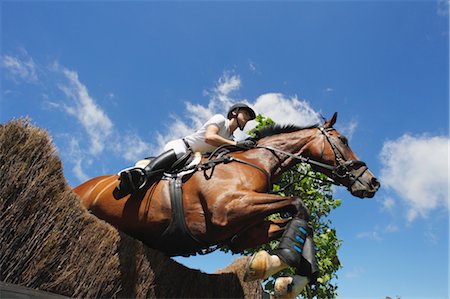 fish eye view - Horse Rider saut obstacle Photographie de stock - Premium Libres de Droits, Code: 622-05786745