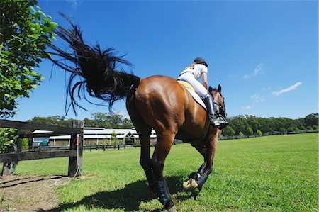 Riding Horse Foto de stock - Sin royalties Premium, Código: 622-05786746