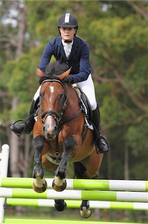 Horseback Rider Jumping Hurdle Foto de stock - Royalty Free Premium, Número: 622-05786748