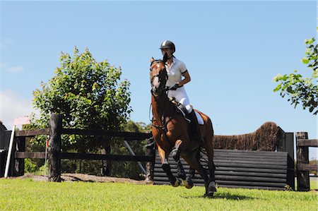 female jump tree - Young Woman Horseback Rider Stock Photo - Premium Royalty-Free, Code: 622-05786753