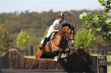 simsearch:400-07615021,k - Young Woman Horseback Rider Jumping Hurdle Stock Photo - Premium Royalty-Free, Code: 622-05786767