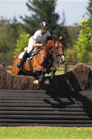 sport obstacle - Young Woman Horseback Rider Jumping Hurdle Stock Photo - Premium Royalty-Free, Code: 622-05786768