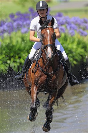 Horse Rider Crossing Water, Equestrian Event Foto de stock - Sin royalties Premium, Código: 622-05786769