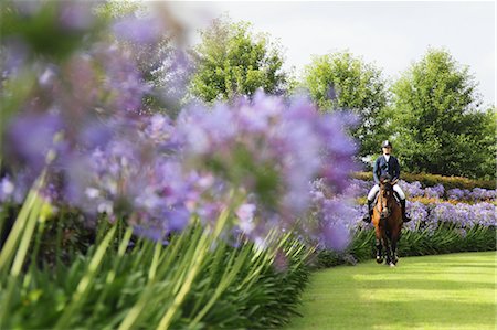 simsearch:622-05786785,k - Young Woman Horseback Rider Foto de stock - Sin royalties Premium, Código: 622-05786761