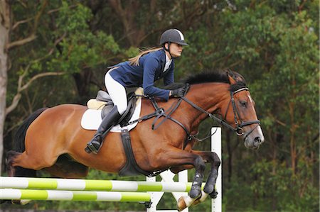 Young Woman Horseback Rider Jumping Fence Foto de stock - Sin royalties Premium, Código: 622-05786763