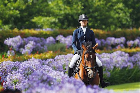 equestrian - Young Woman Horseback Rider Stock Photo - Premium Royalty-Free, Code: 622-05786789