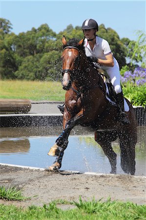 Cavalier femelle, événement équestre Photographie de stock - Premium Libres de Droits, Code: 622-05786780