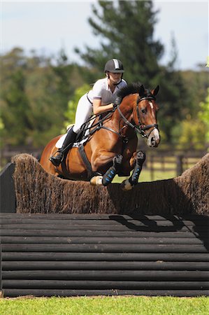 simsearch:625-01744495,k - Young Woman Horseback Rider Jumping Hurdle Stock Photo - Premium Royalty-Free, Code: 622-05786792