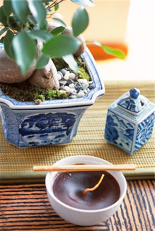 fine art plants - Blue Porcelain Plant Pot And Bowl Shaped Candle Stock Photo - Premium Royalty-Free, Code: 622-06009577