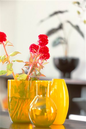 simsearch:6108-08663202,k - Flowers In Yellow Pot Stock Photo - Premium Royalty-Free, Code: 622-06009743