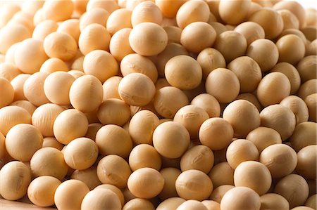 seed grain - Full Frame Of Soybeans Stock Photo - Premium Royalty-Free, Code: 622-06009976