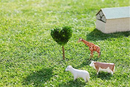 Animals Model On Grassy Field Foto de stock - Sin royalties Premium, Código: 622-06163863