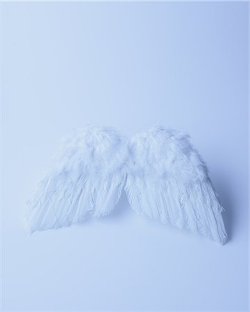 feather - Feather Stock Photo - Premium Royalty-Free, Code: 622-06163898