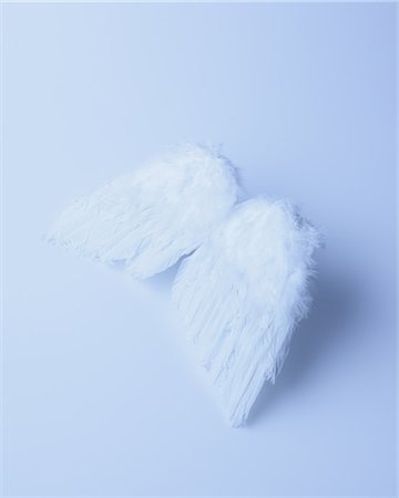 Feather Against White Background Stock Photo - Premium Royalty-Free, Code: 622-06163899