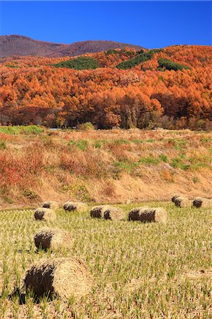 Hays, Trees And Mountain Foto de stock - Sin royalties Premium, Código: 622-06190824