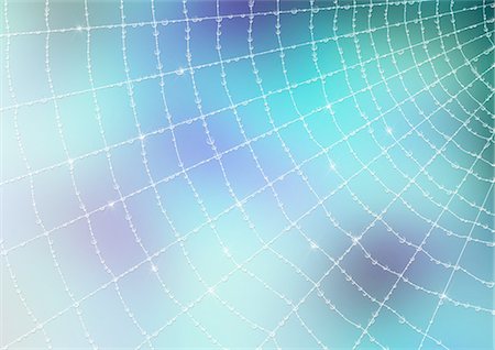 Spider Web With Colored Background Stock Photo - Premium Royalty-Free, Code: 622-06190986