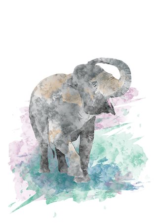 Illustration Of Cute Baby Elephant Stock Photo - Premium Royalty-Free, Code: 622-06191006