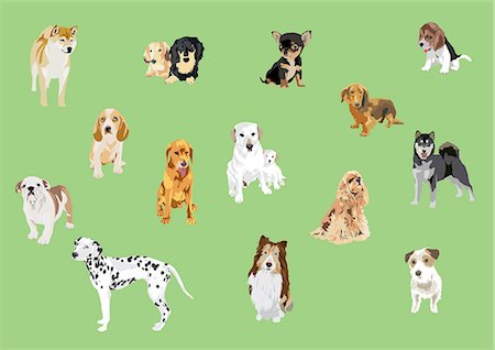Illustration Of Different Dogs On Green Background Fotografie stock - Premium Royalty-Free, Codice: 622-06191045