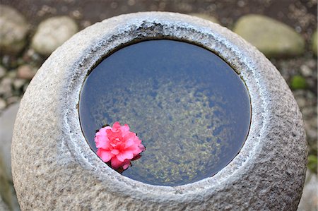 simsearch:622-06191129,k - Stone Bowl with Red Flower Fotografie stock - Premium Royalty-Free, Codice: 622-06191131