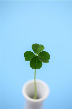 Clover In Cup Against Blue Background Stock Photo - Premium Royalty-Free, Code: 622-06191208