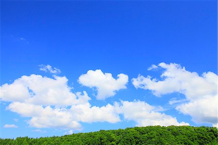 Des arbres luxuriants et ciel bleu avec des nuages en arrière-plan Photographie de stock - Premium Libres de Droits, Code: 622-06191442