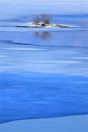 Bare Tree In Middle Of Frozen Lake Foto de stock - Sin royalties Premium, Código: 622-06191473