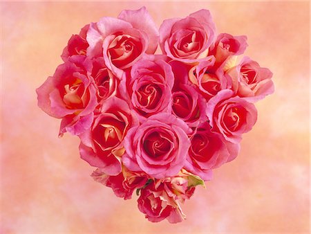 roses - Flower arrangement Stock Photo - Premium Royalty-Free, Code: 622-06369463