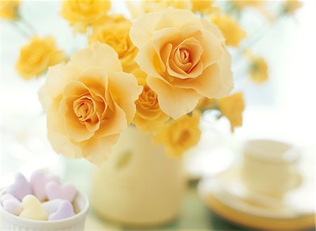 flower arrangement in a teacup - Flower arrangement Stock Photo - Premium Royalty-Free, Code: 622-06369471