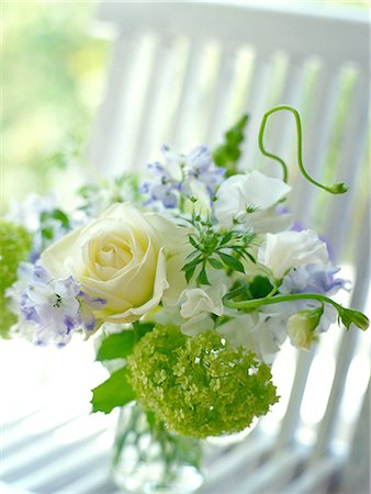 delphinium - Flower arrangement Fotografie stock - Premium Royalty-Free, Codice: 622-06369487