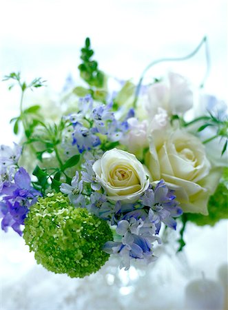 delphinium - Flower arrangement Fotografie stock - Premium Royalty-Free, Codice: 622-06369520