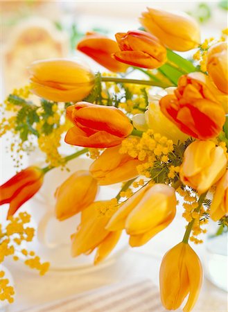 flower arrangement in a teacup - Flower arrangement Stock Photo - Premium Royalty-Free, Code: 622-06369537