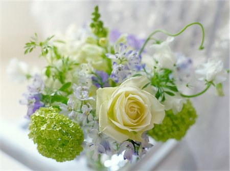 delphinium - Flower arrangement Fotografie stock - Premium Royalty-Free, Codice: 622-06369559