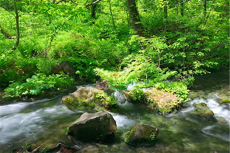 spring water stream - Mountain water stream in Fukushima Stock Photo - Premium Royalty-Free, Code: 622-06369828