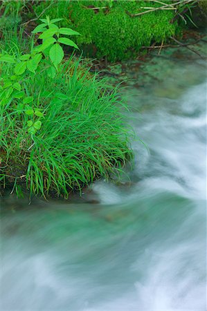 simsearch:622-06487459,k - Mountain water stream in Fukushima Stock Photo - Premium Royalty-Free, Code: 622-06369822