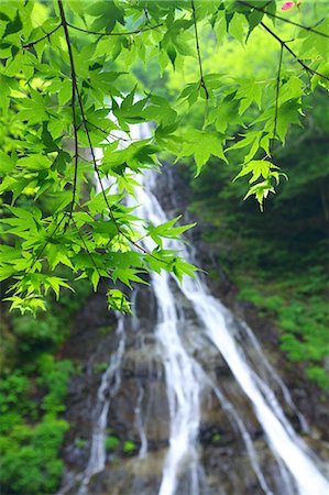 simsearch:859-07149662,k - Waterfall in Saitama Stock Photo - Premium Royalty-Free, Code: 622-06369839
