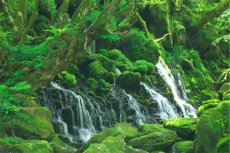 Moto waterfall in Akita Prefecture Foto de stock - Sin royalties Premium, Código: 622-06369831